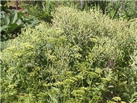 4bf270d7-Picture 016.jpg